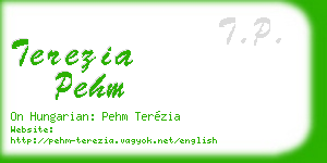 terezia pehm business card