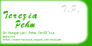 terezia pehm business card